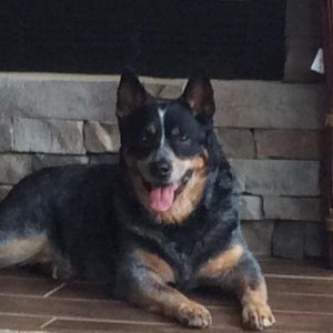 Meet your Posher, Ben